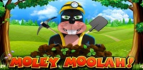 Moley Moolah slot artwork