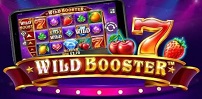 Wild Booster slot artwork