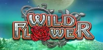 wild flower slot logo