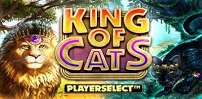 King of Cats Megaways slot artwork