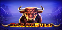 Black Bull slot artwork