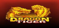Dragon Tiger slot artwork