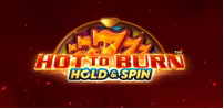 Hot to Burn Hold and Spin slot artwork