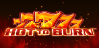 Hot to Burn slot artwork