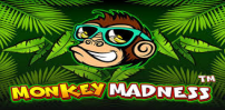 Monkey Madness slot artwork