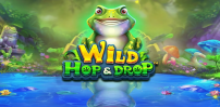 Wild Hop And Drop slot artwork