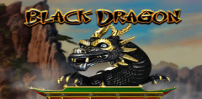 Black Dragon slot artwork
