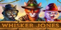 Whisker Jones slot artwork