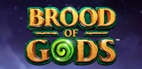 Brood of Gods slot artwork