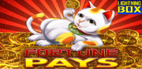 Fortune Pays slot artwork