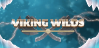 Viking Wilds slot artwork