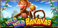 Wild Wild Bananas slot artwork