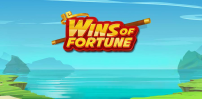 Wins Of Fortune slot artwork