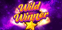 Wild Winner slot artwork