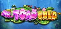 Mr Toad Gold Megaways slot artwork