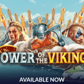 power of the vikings slot banner