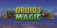 Druid’s Magic slot artwork