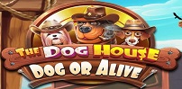 The Dog House Dog or Alive slot artwork