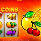 crown coins slot banner by endorphina