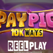 pay pig 10k wins slot banner by reel play