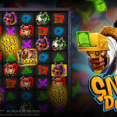 snoop dogg dollars slot banner by bgaming