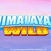 Himalayan wild slot banner by pragmatic play
