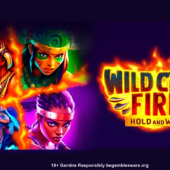 wild cats fire hold and win slot banner by kendoo