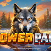 Banner of Power Pack by Reflex Gaming