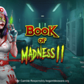 Banner of Book of Madness 2 by GAMOMAT