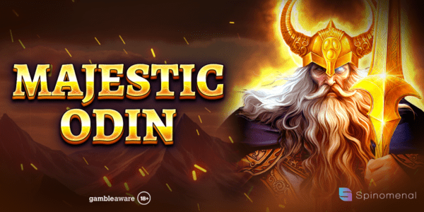 Banner of Majestic Odin by Spinomenal