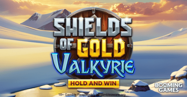 Banner of Shields of Gold Valkyrie Hold and Win by Booming Games