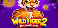 Wild Tiger 2 slot artwork