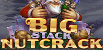 Big Stack Nutcrack slot artwork