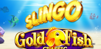 Slingo Gold Fish slot artwork