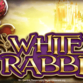 Banner of White Rabbit 2 by Big Time Gaming