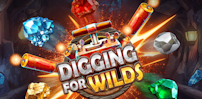 Digging For Wilds slot artwork