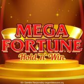 Banner of Mega Fortune by Stakelogic