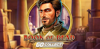 Book Of Dead Go Collect slot artwork
