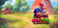 Wild Cock slot artwork