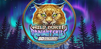Wild North Radiant Skies slot artwork