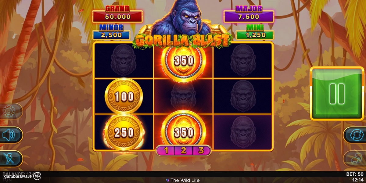 Bonus game in Gorilla Blast Hold & Hit 3x3 by Spinomenal