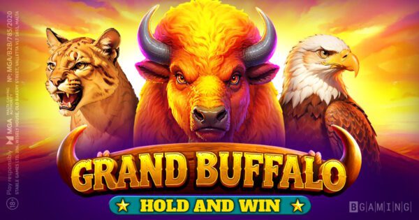 Banner of Grand Buffalo Hold and Win by BGaming