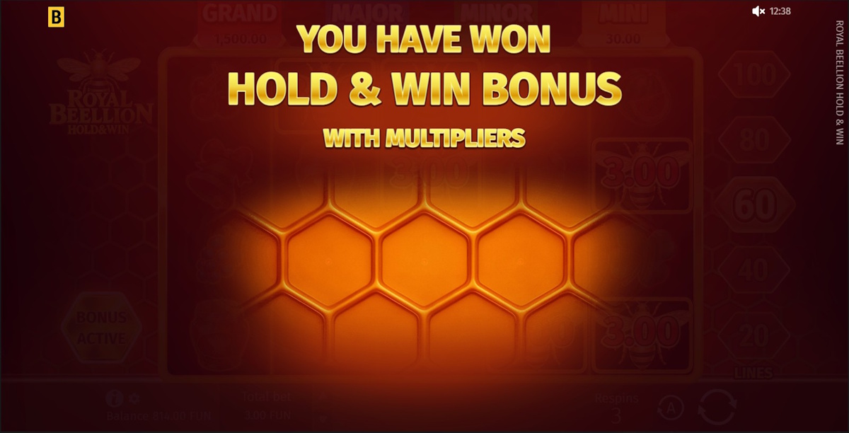 Bonus won in Royal Beellion Hold & Win by BGaming