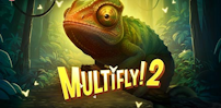 Multifly 2 slot artwork