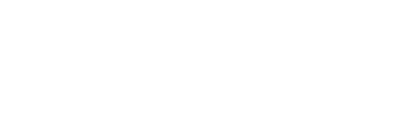 Snowborn Games logo