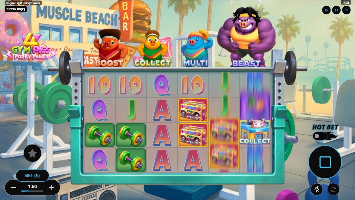 Base game in 4 Gym Pigs Porky Power by Gaming Corps