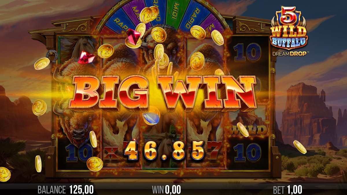 A big win in 5 Wild Buffalo Dream Drop by 4ThePlayer