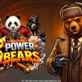 Banner of 3 Power Bears by AvatarUX