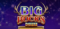 Big Bucks Deluxe slot artwork