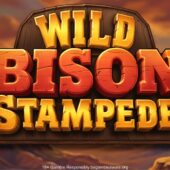 Banner of Wild Bison Stampede by Slotmill